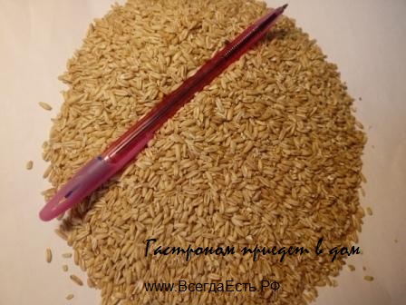 Овсяная крупа недроблёная сорт 1 ГОСТ